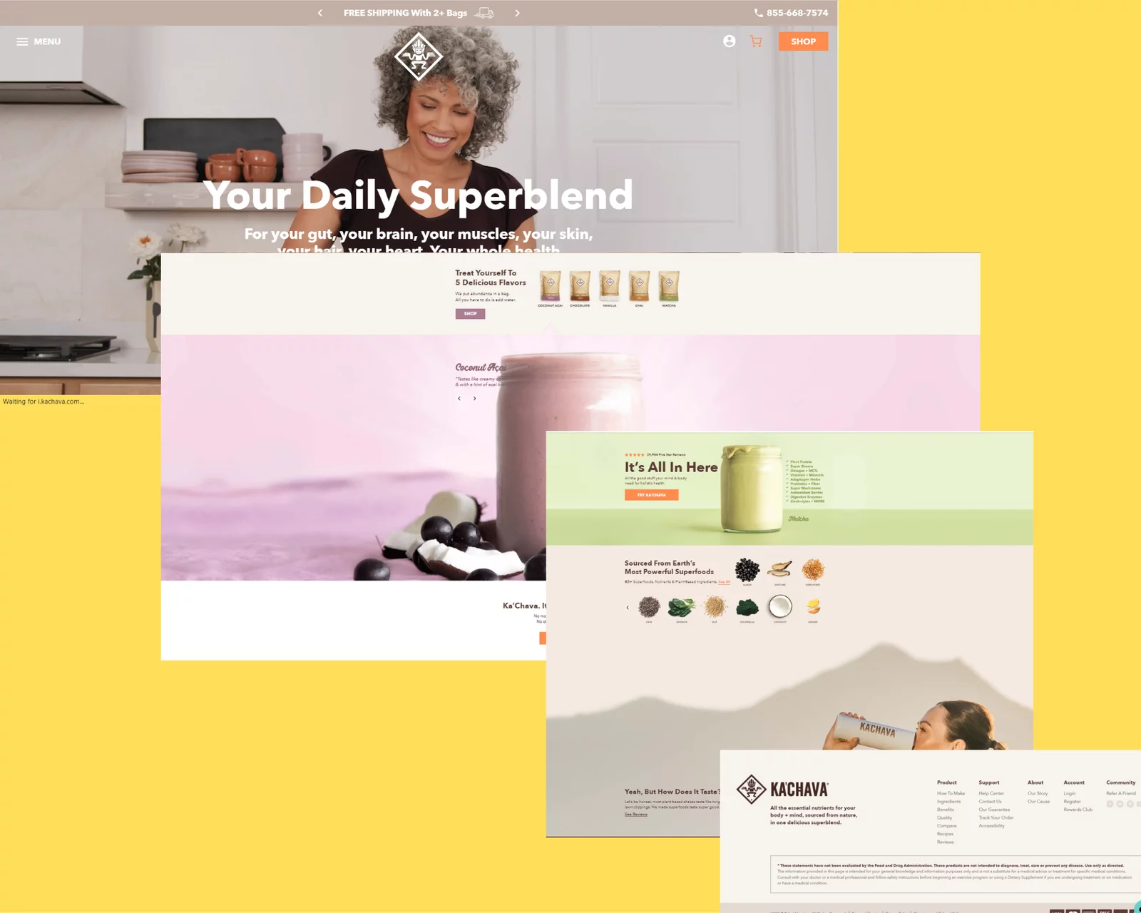 WordPress Developer & SEO Expert – Abdul Malik