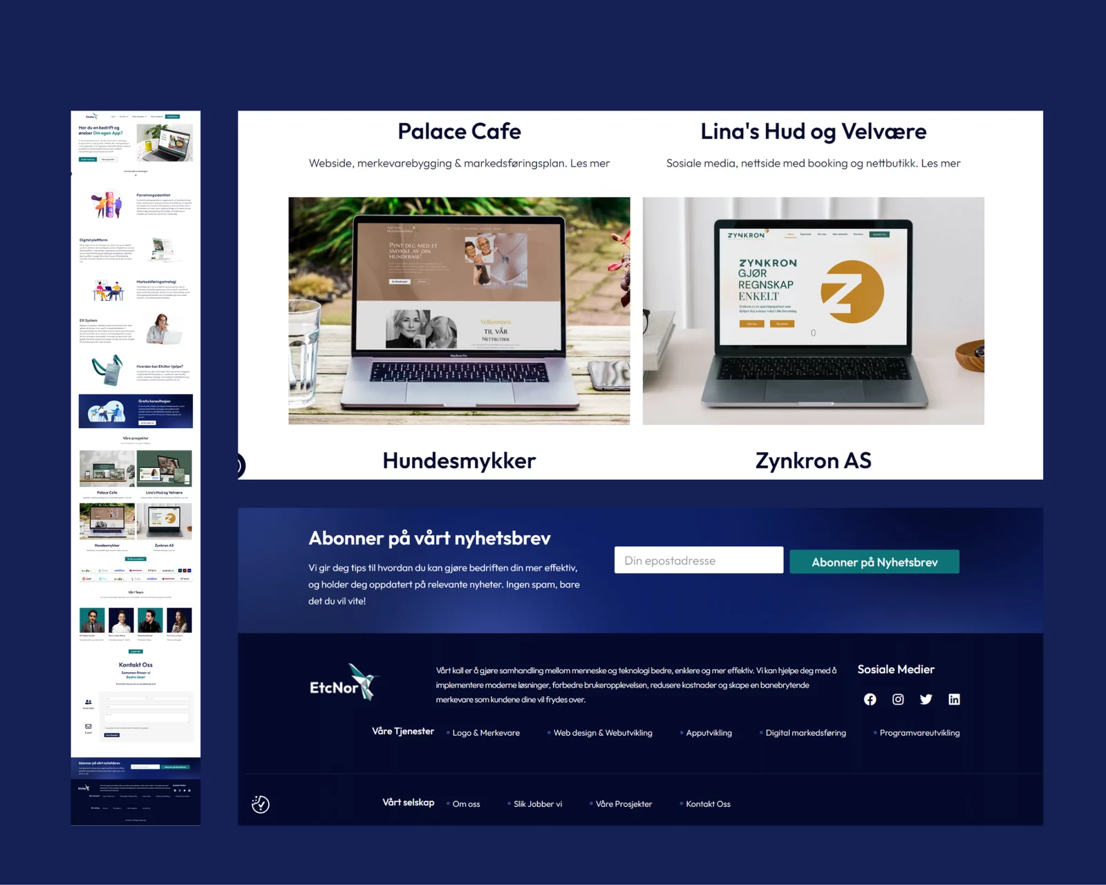 WordPress Website Developer