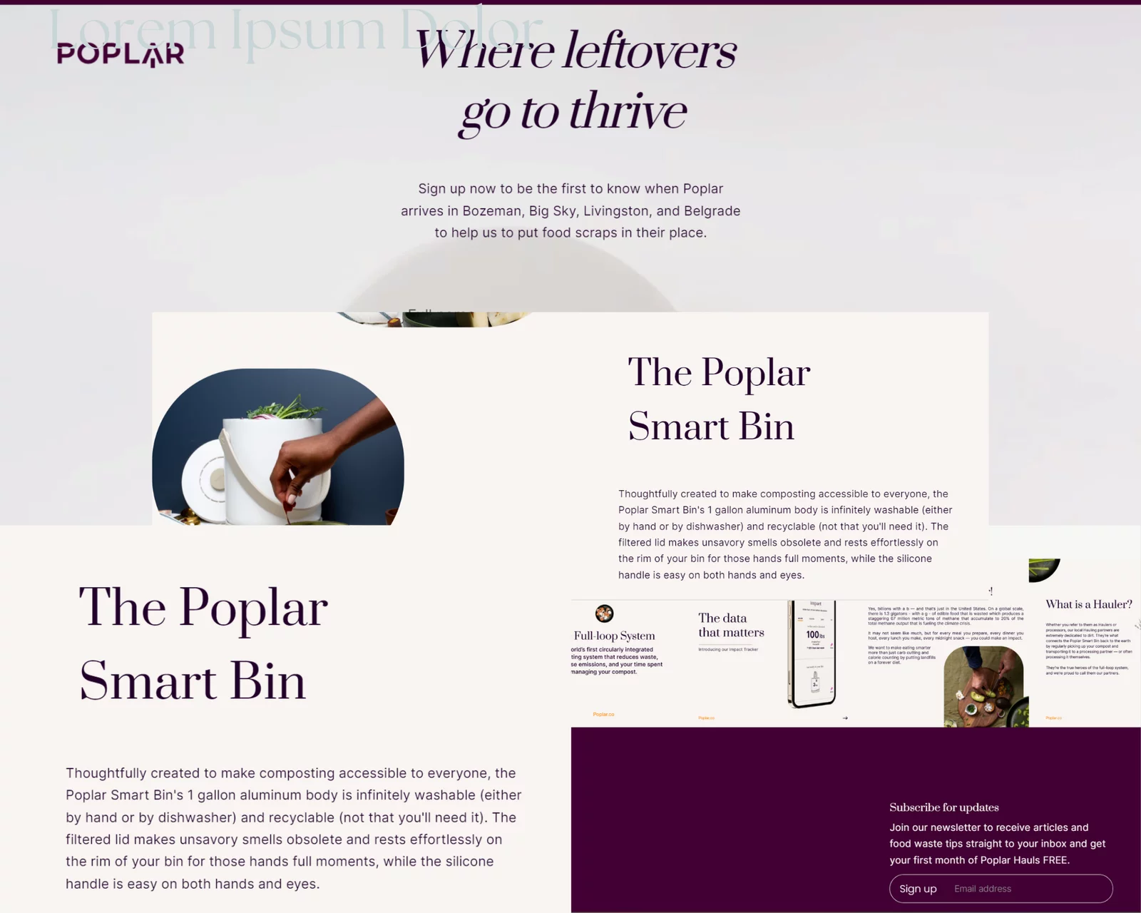 WooCommerce store setup service