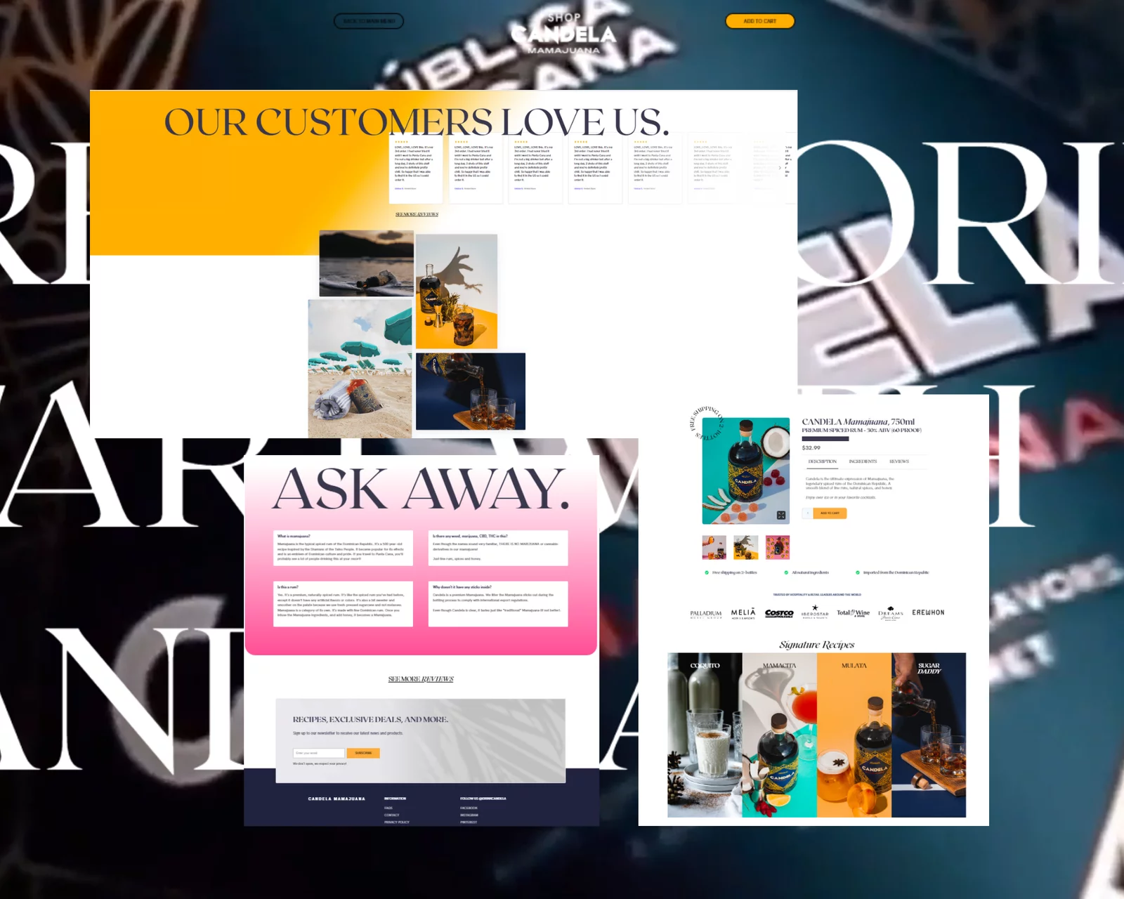 Best WordPress Developer for store